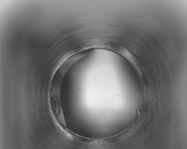 X0000067510906200604150130