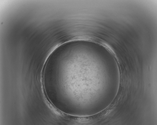 X0000067510907200604150130