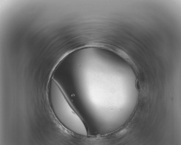 X0000067510908200604150130