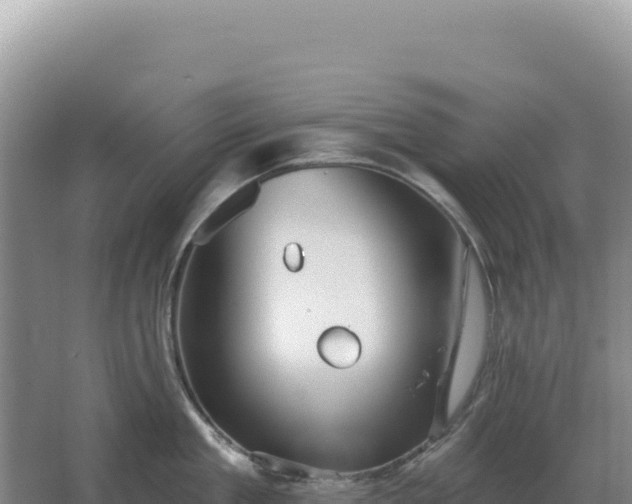 X0000067510909200604150130