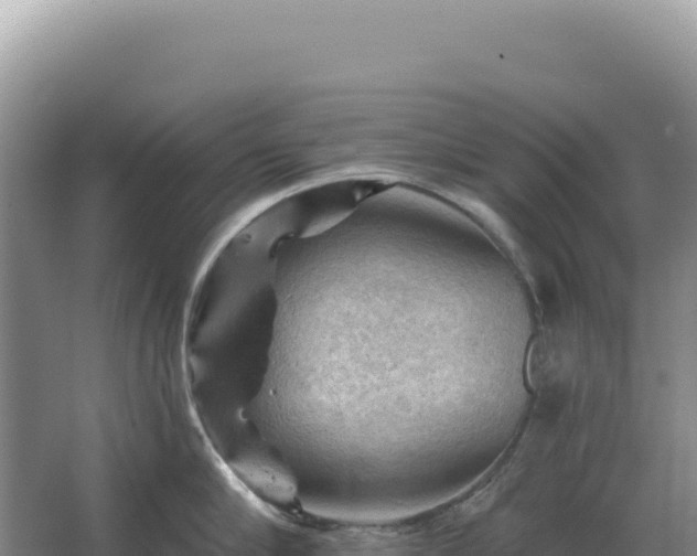 X0000067510910200604150130