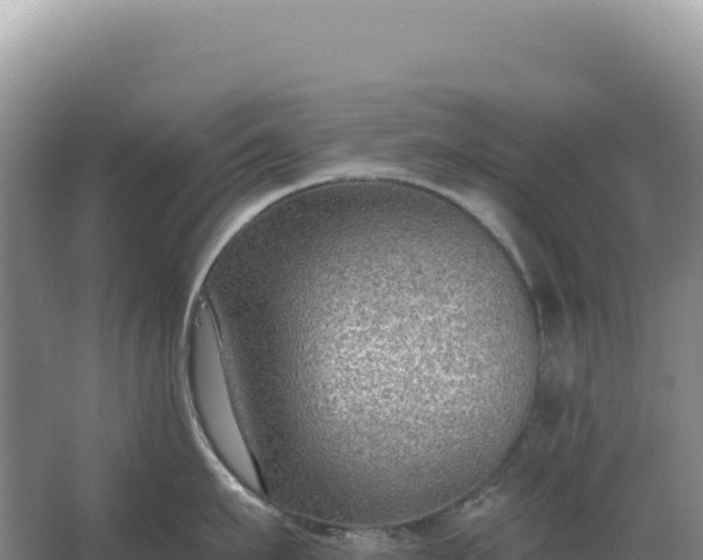 X0000067510911200604150130