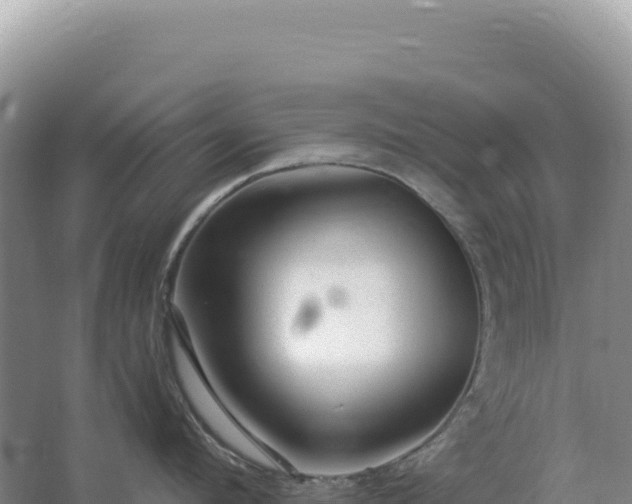 X0000067510912200604150130