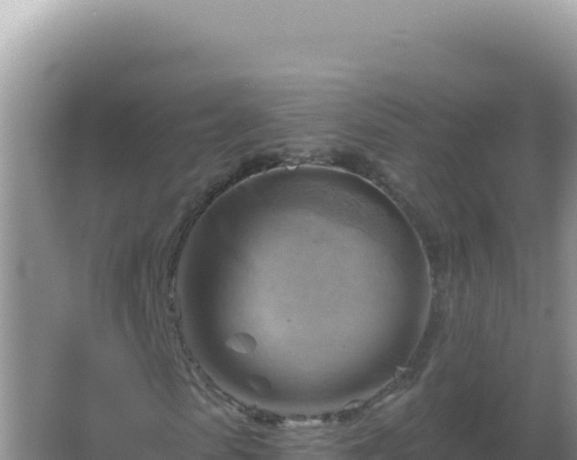 X0000067510913200604150129