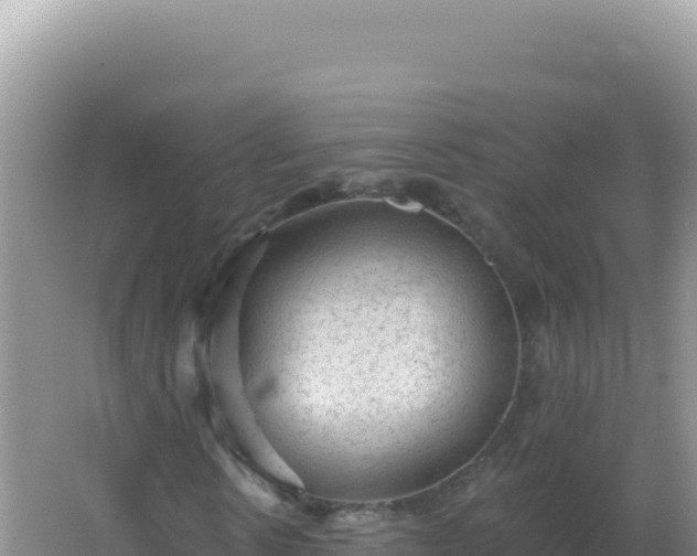 X0000067510914200604150129