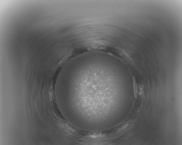 X0000067510915200604150129