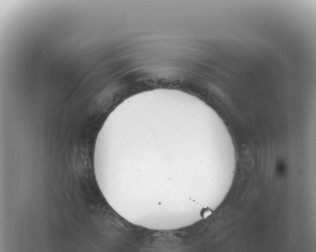 X0000067510918200604150129