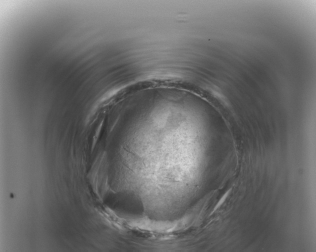 X0000067510920200604150129