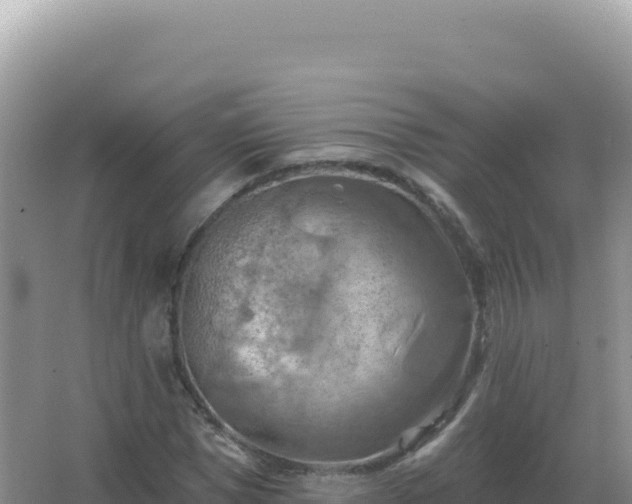 X0000067510921200604150129