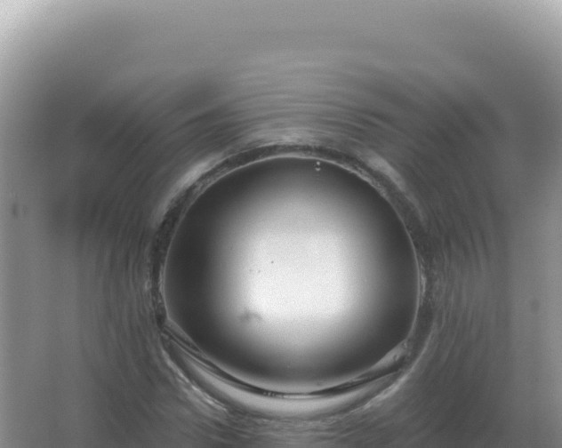 X0000067510922200604150129