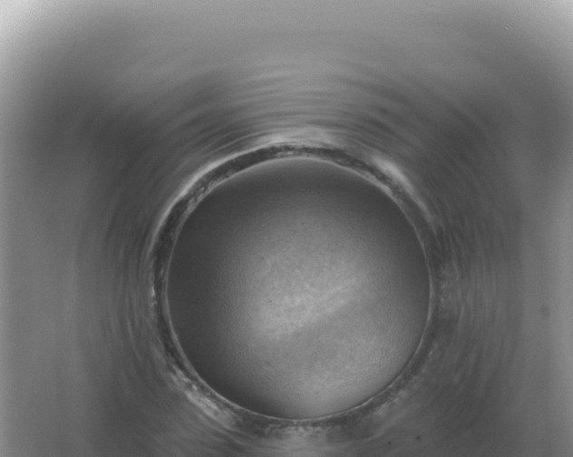 X0000067510923200604150129