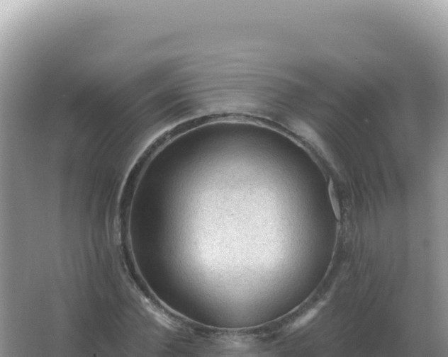 X0000067510924200604150129