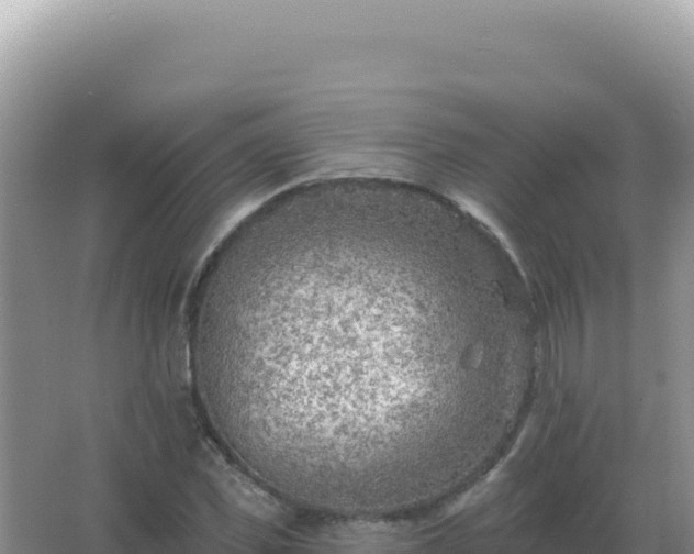 X0000067510925200604150129