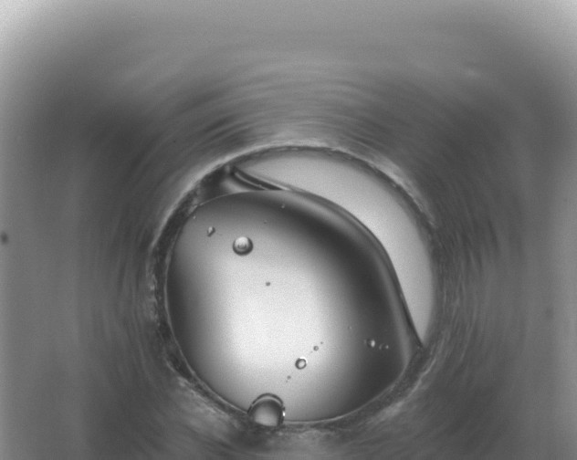 X0000067510926200604150129