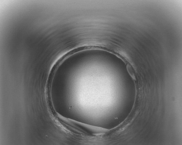 X0000067510928200604150129