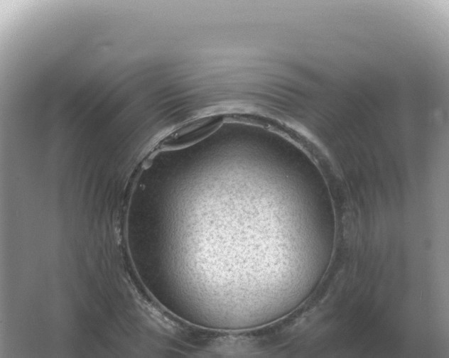 X0000067510929200604150129