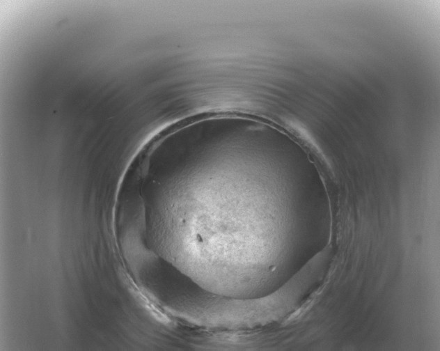 X0000067510932200604150129