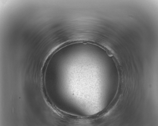 X0000067510933200604150129