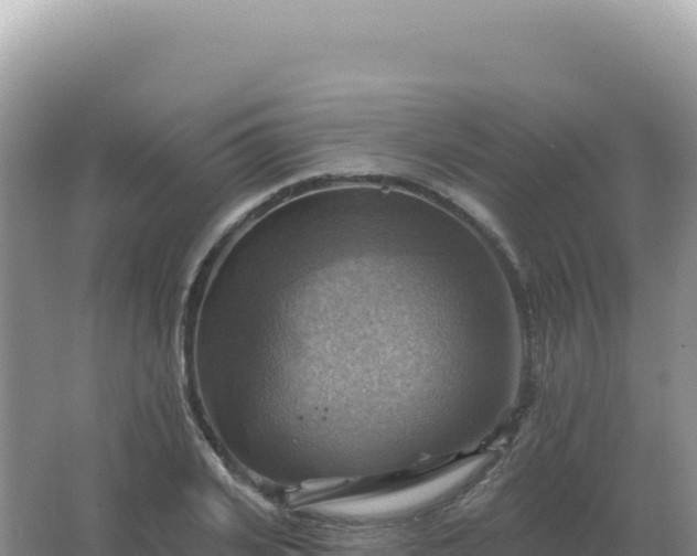 X0000067510935200604150130