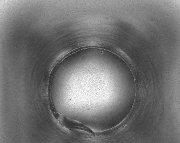 X0000067510938200604150130