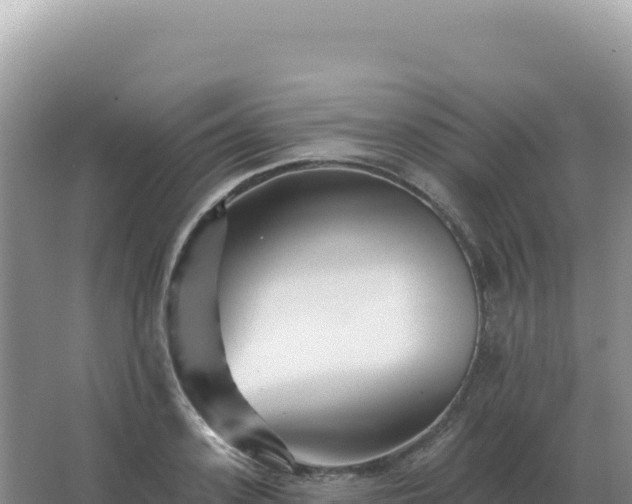 X0000067510939200604150130