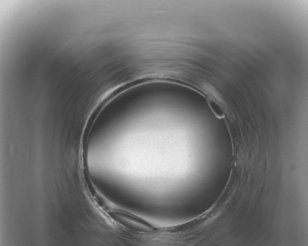 X0000067510940200604150130