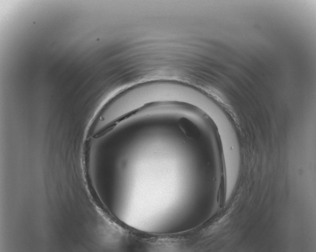 X0000067510942200604150130