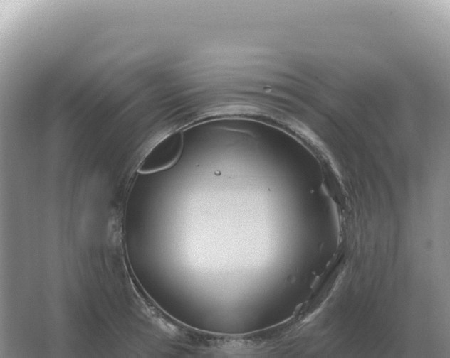 X0000067510945200604150130