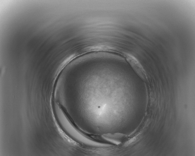 X0000067510946200604150130