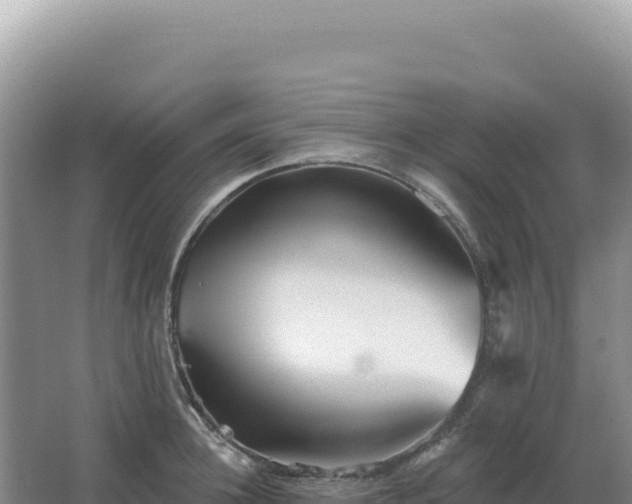 X0000067510948200604150130