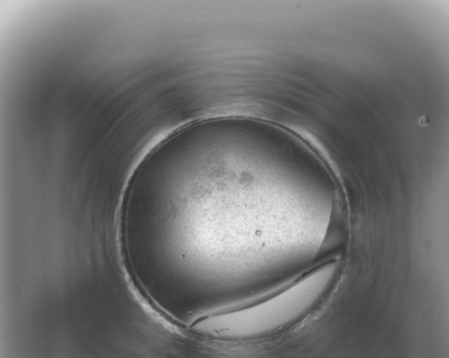 X0000067510949200604150130