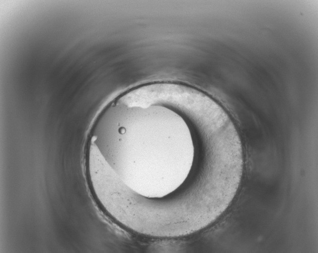 X0000067510950200604150130