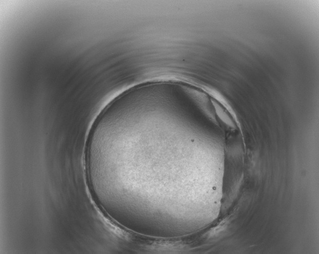 X0000067510951200604150130