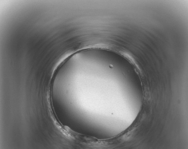 X0000067510952200604150130