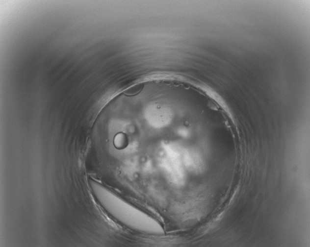 X0000067510953200604150130