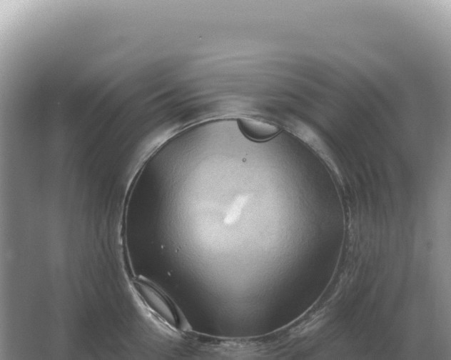 X0000067510954200604150130