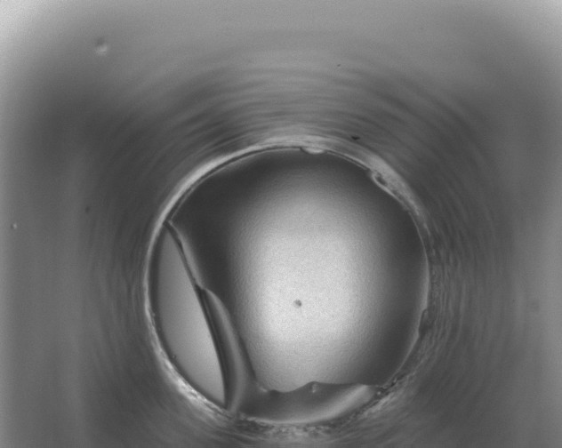 X0000067510955200604150130