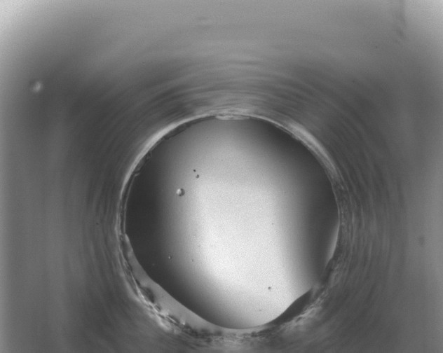 X0000067510956200604150130