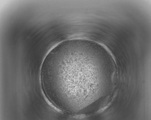 X0000067510957200604150130