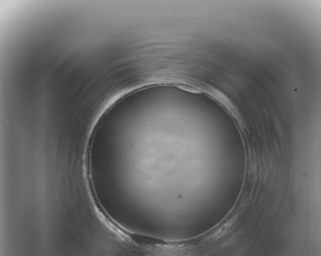 X0000067510958200604150130