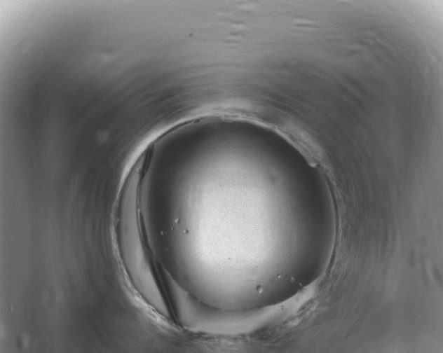 X0000067510960200604150130