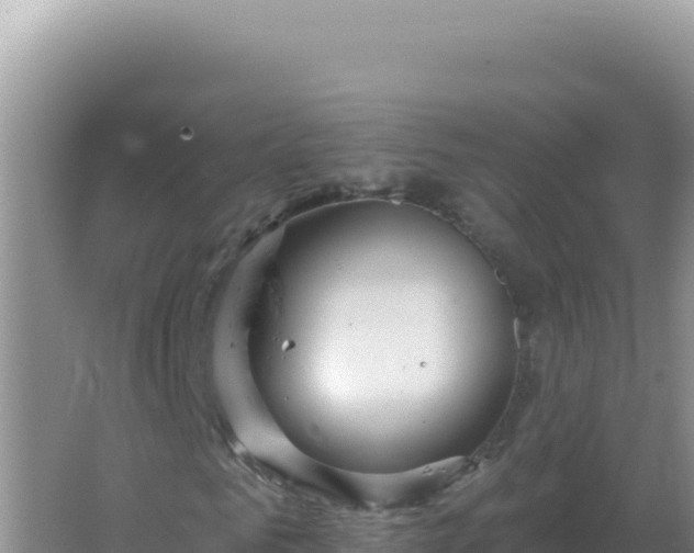 X0000067510961200604150129