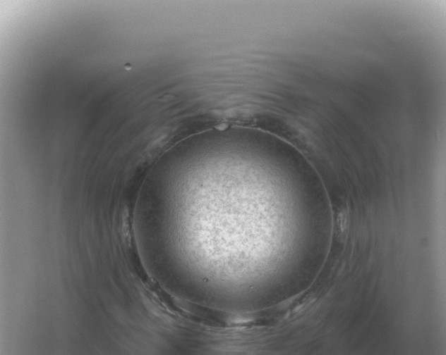 X0000067510963200604150129