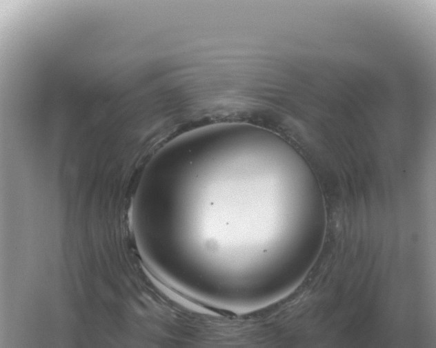 X0000067510964200604150129