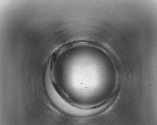 X0000067510969200604150129