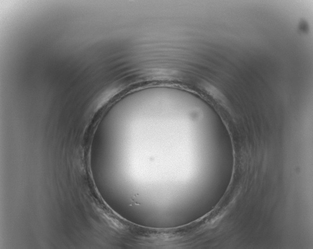 X0000067510970200604150129