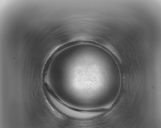 X0000067510972200604150129