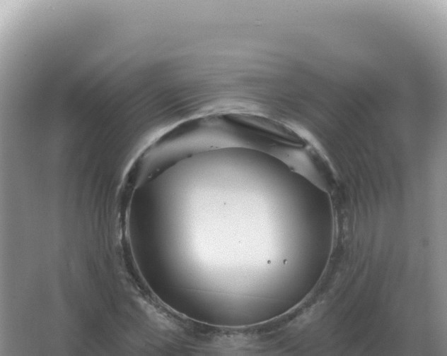 X0000067510973200604150129