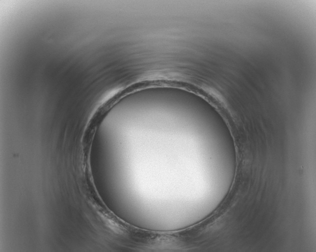 X0000067510974200604150129