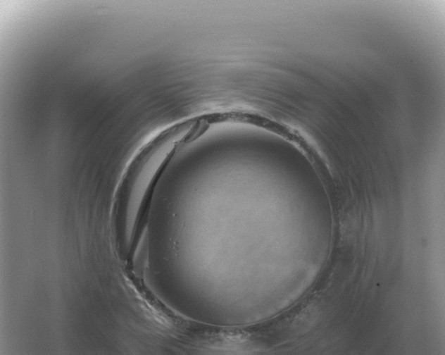 X0000067510975200604150129